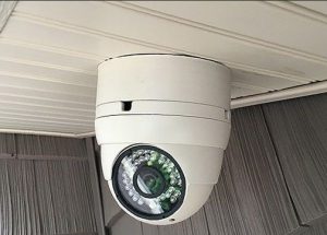 دوربین مدار بسته دام